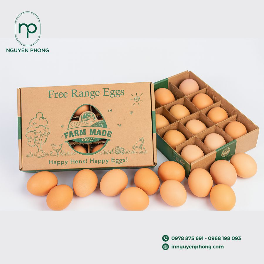 in-hop-carton-dung-trung-gia-re-tai-ha-noi